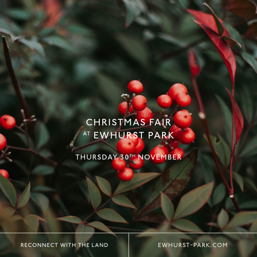 Ewhurst Park Christmas Fair